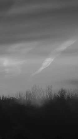 mu33-fire-sunset-sky-nature-mountain-tree-dark-bw