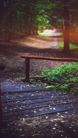 mv09-wood-nature-forest-road-mountain-flare