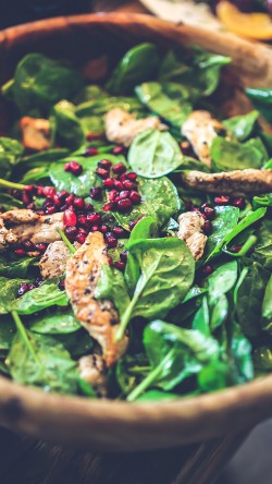 mv40-food-salad-instagram-hunger-city-life