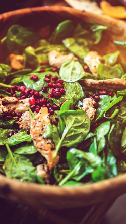 mv41-food-salad-instagram-hunger-city-life-flare