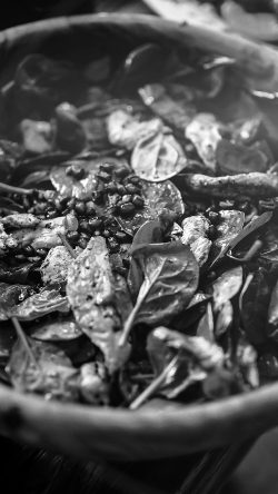 mv42-food-salad-instagram-hunger-city-life-flare-bw-dark