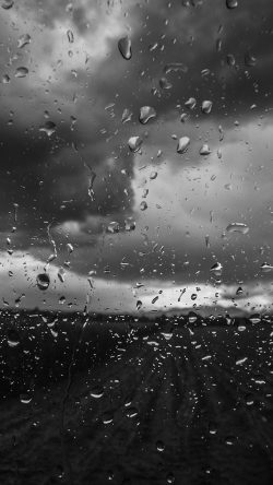 mv92-rainy-window-nature-water-drop-road-dark-bw