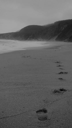 mw84-naked-walk-sea-beach-nature-pure-dark-bw