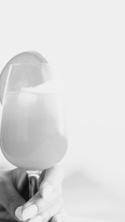 mx73-orange-juice-cocktail-food-bw-white