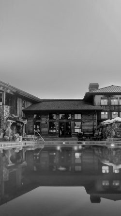 my71-house-swimmingpool-vacation-nature-city-bw-dark