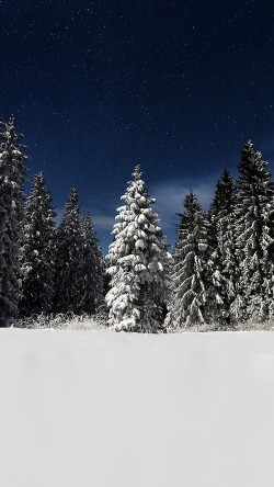 mz23-snow-winter-wood-mountain-sky-star-night