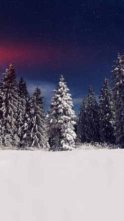 mz24-snow-winter-wood-mountain-sky-star-night-flare
