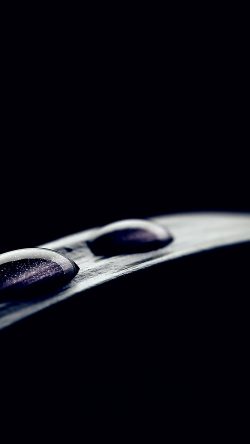 mz86-dark-leaf-raindrop-flower-space-inside