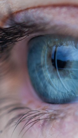 mz99-eye-deep-nature-human