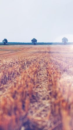 na23-farm-fall-field-nature-flare-blue