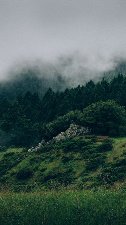 na25-nature-mountain-green