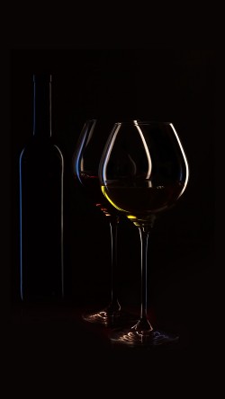 nb32-wine-bottle-dark-black-party