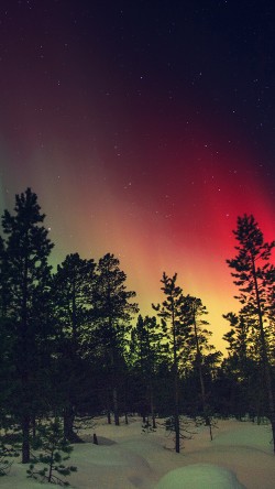nb38-aurora-night-red-sky-space-dark-romantic