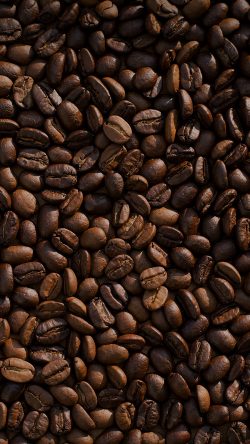 nb39-coffee-food-brown-eat-nature-drink-life
