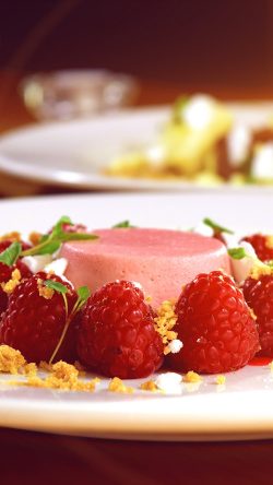 nb57-food-stylist-dessert-berry-cake-bokeh-flare