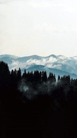 nd60-mountain-fog-nature-view-wood-forest-dark