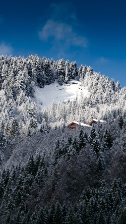 ng49-snow-mountain-wood-home-winter-nature