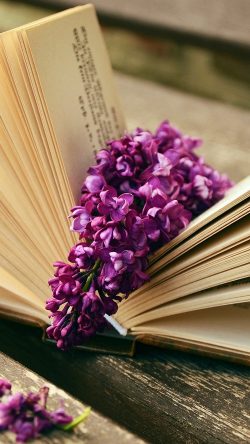 ni22-book-read-time-flower
