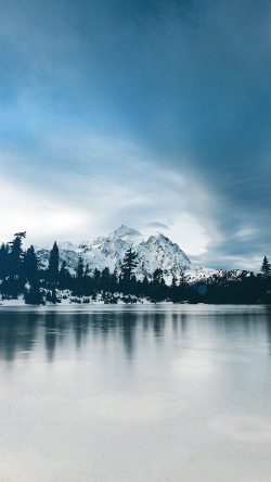 ni38-frozen-lake-winter-snow-wood-forest-cold