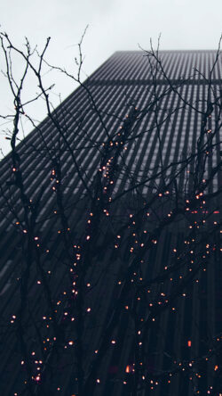 nj71-lonely-winter-tree-light-city-blue