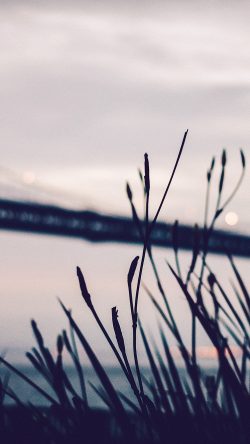 nl01-bridge-morning-river-bokeh-blue
