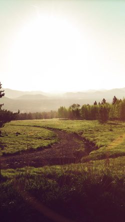 nl11-land-green-nature-forest-road-peace-calm-flare