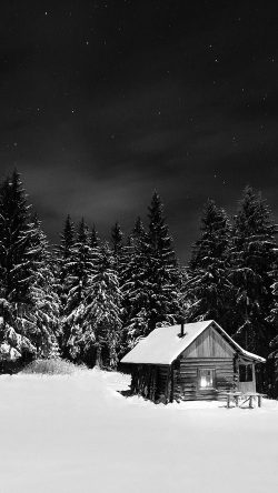 nl39-winter-house-night-sky-christmas-starry-bw-dark