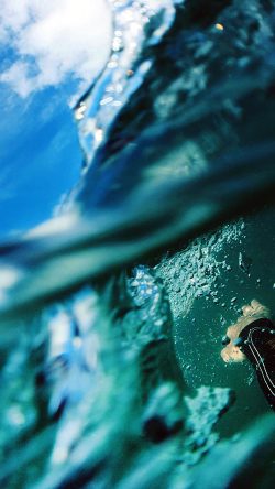 nl98-sea-blue-nature-swim-underwater-summer-green