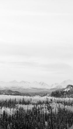 nm17-winter-mountain-wood-nature-snow-bw