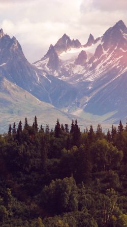 nm48-mountain-nature-woodd-summer-green-flare