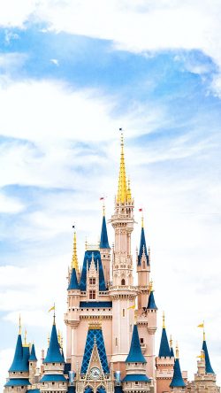 nn96-disney-world-castle-sky