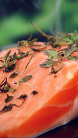 no30-salmon-food-bokeh-nature