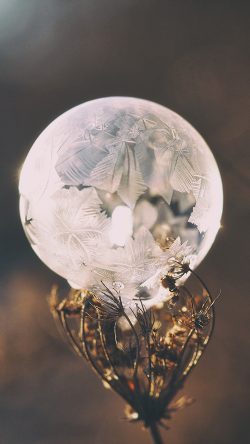 no85-winter-cold-frozen-bubble-bokeh-nature