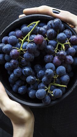 nr22-grape-fruit-summer-eat-food-nature