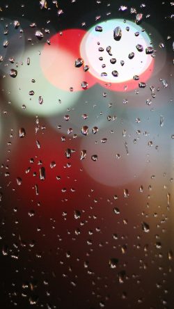 nr46-raindtop-window-nature