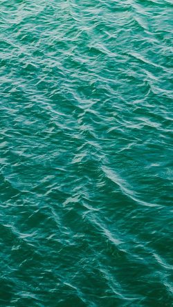 ns80-sea-wave-ocean-green-nature