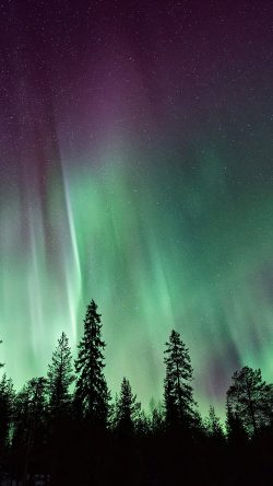 ns86-aurora-night-sky-nature
