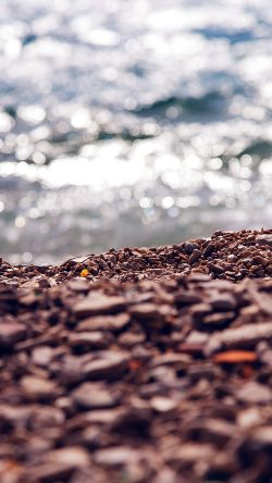 nt48-beach-sea-summer-nature
