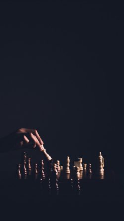 nv56-chess-dark-game-nature