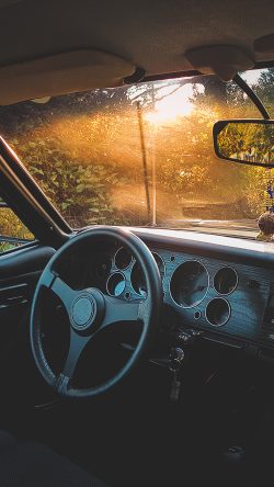 nv73-car-drive-forest-light-nature