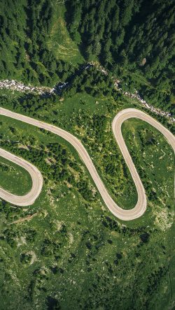 nw42-earthview-road-green-nature