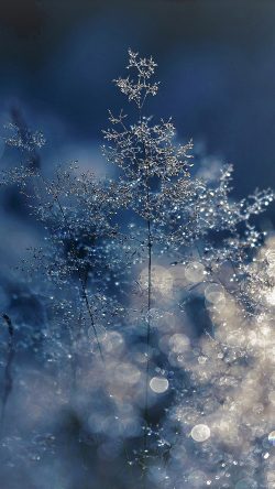 nw53-snow-bokeh-light-beautiful-nature-blue