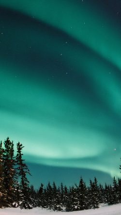 nw70-aurora-blue-night-sky-space-nature-winter
