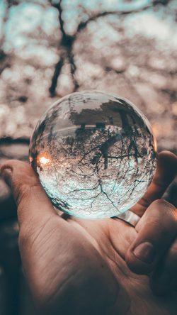 nx13-tree-bubble-water-sunset-hand-nature