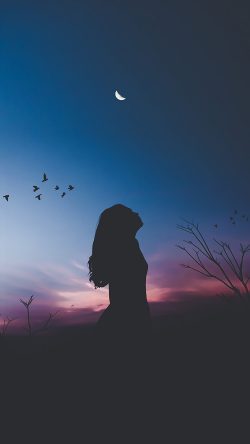 nx24-night-sky-dark-woman-fly-bird-nature