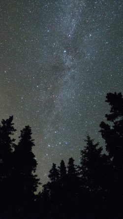ny11-space-star-galaxy-night-sky-nature