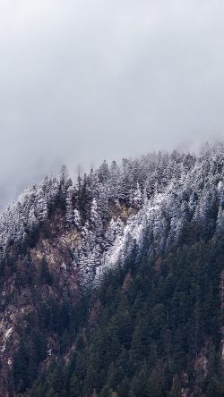ny66-cold-mountain-winter-tree-white-snow-nature