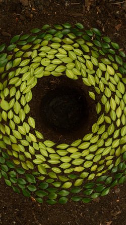 nz96-leaf-art-land-green-nature-flower