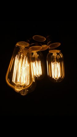 oa09-light-bulb-dark-night-nature