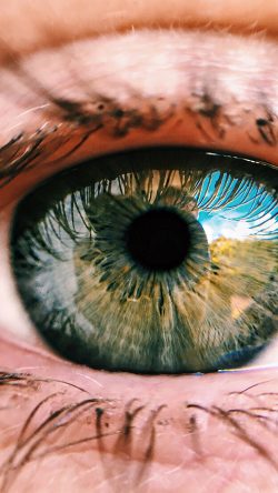 oc48-eye-face-human-nature